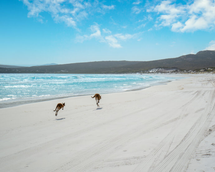 Western Australia - Authentisch, Wild, Unvergesslich